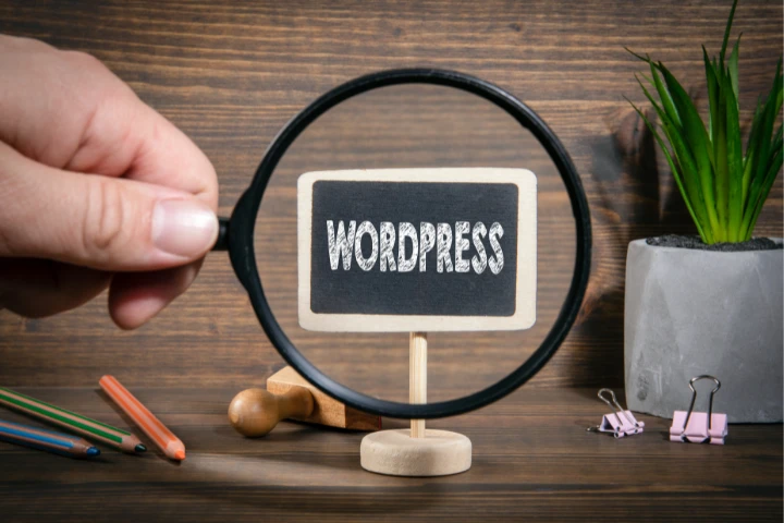 Expertos en diseño web WordPress