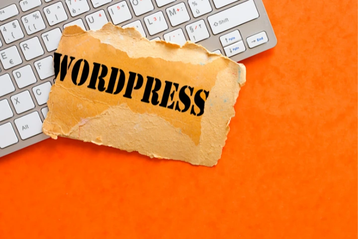 Servicio de SEO para WordPress